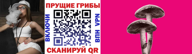 Галлюциногенные грибы MAGIC MUSHROOMS  где купить наркоту  Алапаевск 